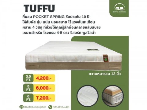 ที่นอน pocker spring
